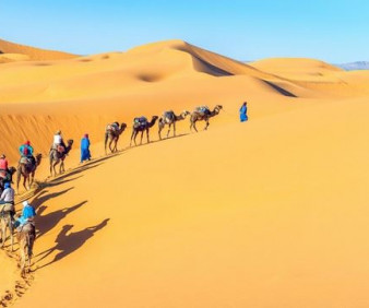  Islamic group Tours to Tunisia